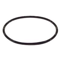 Replacement O-Ring On Flush Fuel Cell Filler Cap
