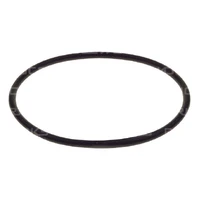 Replacement O-Ring On Flush Fuel Cell Filler Cap
