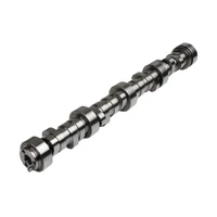 Roller Lifter Camshaft (LS Series V8) - 248/254 Deg