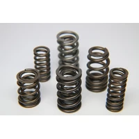 Dual Special Alloy Valve Spring - Set of 16 (STI)