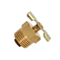 Drain Valve - Winged - 1/2"