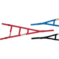 Sprint/Midget Cage Net - Champ Car - Right Side - Black