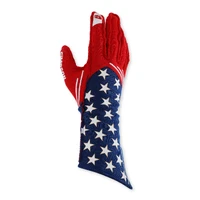Liberty Gloves - Large - Flag