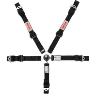 Jr Dragster Racing Platinum Plus 5-Point Harnesses - Camlock