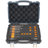 Drill Bit & Guide Screw Extractor Set - 25pc