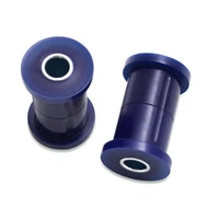 Spring Bush Kit - Rear (Ford F-Series USA)