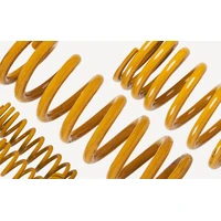 2x Rear Coil Lift Springs 0-300kg Load (Pathfinder 86-95)