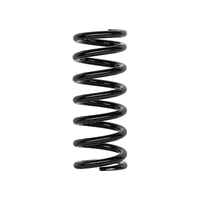 Coil Springs - Extra Heavy - Black (Landcruiser Prado 250 Series 24-25)
