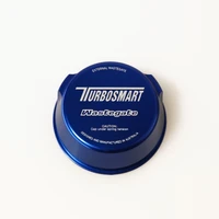 WG38 Top Cap Replacement - Blue