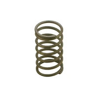 Gen-V Spring for WG60 - 3psi Inner
