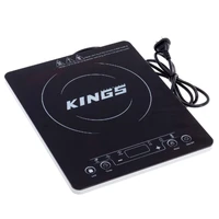 Portable Induction Cooker