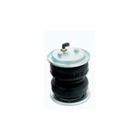 Replacement Air Spring - Bellows Type (Ram 1500 09-17)