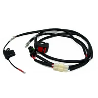 Wiring Harness And Switch Off Road Bikes Universal