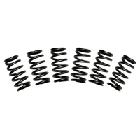 Valve Spring Kit 60lb Cummins 5.9 12-valve