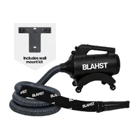 Air Maxx Wall-Mounted Car Dryer Blower 2400W with 8m Hose
