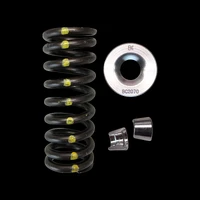 Brian Crower Honda R18 Single Spring/Titanium Retainer/Keeper Kit