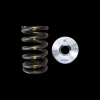 Brian Crower Nissan TB48 Single Spring & Titanium Retainer Kit