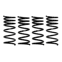 Eibach Pro-Kit 66-76 BMW 2002