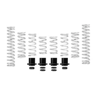 Eibach Pro-UTV 2020 Polaris RZR Pro XP Ultimate Stage 2 Performance Springs - Set of 8