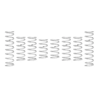 Eibach 2022 Polaris RZR Pro R PRO-UTV Stage 2 Spring system