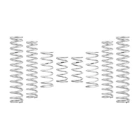 Eibach Can-Am Maverick R X RS Ultimate PRO-UTV Stage 3 Spring System (Set of 8 Springs)