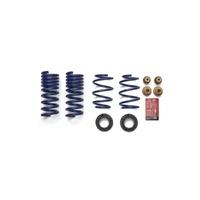 Lowering Spring Kit w/Passive Suspension Track  (Mustang 24-25)