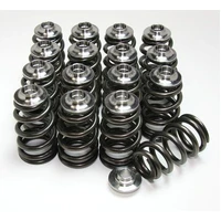 GSC P-D SR20 Single Spring w/ Titanium Retainer Valvetrain Kit