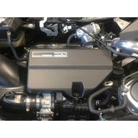 DryCarbon Engine Cover S660 JW5