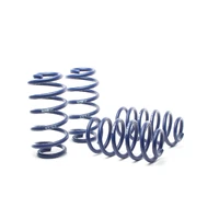 H&R 98-04 Audi A6 Quattro (AWD) 4B Race Spring