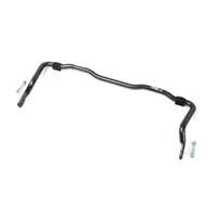 H&R 94-96 BMW M3 3.0L E36 24mm Adj. 2 Hole Sway Bar - Rear