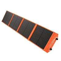 100W Solar Blanket with Raptor Skin