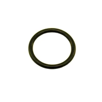 1-1/8 O-Ring Fits 5lb/10lb/12lb/15lb Bottle Valve