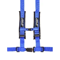 4.2 Harness Blue