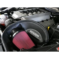 Cold Air Kit (Mustang 15-15)