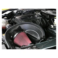 Cold Air Kit (Mustang EcoBoost 15-17)