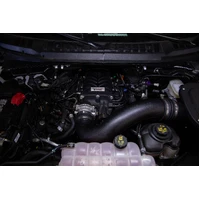 3in 304SS Cat-Back Exhaust Kit (F150 17-20)