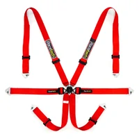 Pro International 6-Point Lightweight Harness GT Adjusters - FIA Approved