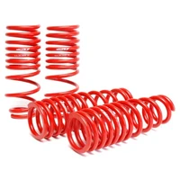 Skunk2 92-95 Honda Civic/Del Sol Lowering Springs (2.50in - 2.25in.) (Set of 4)