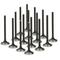 Nissan VK56DE Black Nitrided Intake Valve - +1mm Oversize - Set of 16