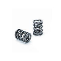 Dual Valve Spring 82lb at 41mm / 185lb at 10mm Lift / CB 25.5mm Chrome Silicon - Set of 24