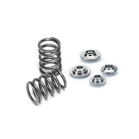 VW VR6 24V R32 Dual Valve Spring Kit