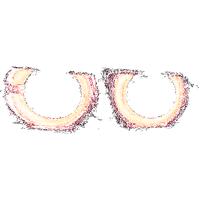 Sequential LED Tail Lights (3 Sedan 19-25)