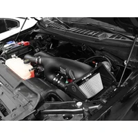 MagnumFORCE Pro DRY S Stage-2 Intake System EcoBoost (F-150 16)