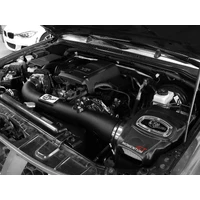 Momentum GT PRO DRY S Stage-2 Intake System (Xterra 05-15)