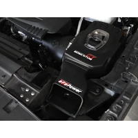 Momentum GT Pro DRY S Cold Air Intake System (Titan 17-18)