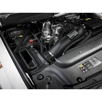 Quantum Pro DRY S Cold Air Intake System 17-18 GM/Chevy Duramax V8-6.6L L5P - Dry