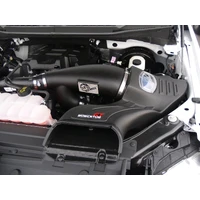 Momentum GT Pro 5R Intake System EcoBoost (F-150 16)