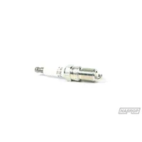 NGK TR6 Spark Plugs (Clubsport 13-17/GTS 13-17/Camaro 12-15) - 8 Pack