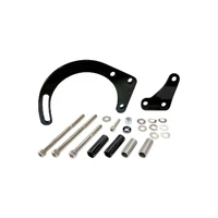Low Mount Alternator Bracket - Chrome (SB Chevrolet)