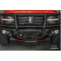 King series Plus bull bar (Tank 300 23+)